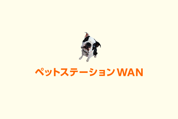 no-img