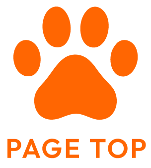 PAGE TOP